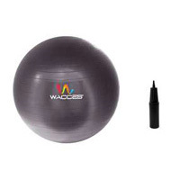 Wacces Fitness & Yoga Ball + Air Pump (3 Colors)