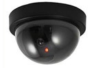 Dummy Dome Camera with Motion Detection