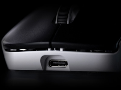 USB-C Input