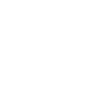 DJI Goggles