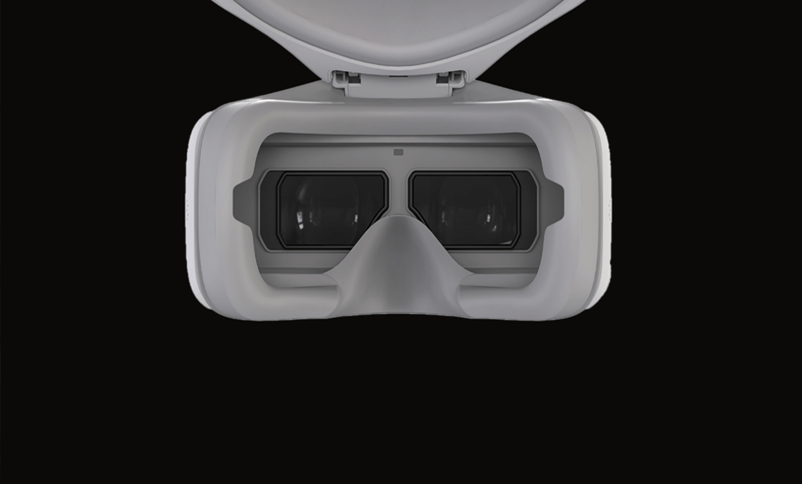 DJI Goggles