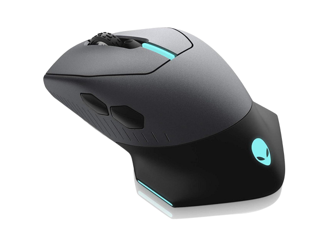 Mouse
