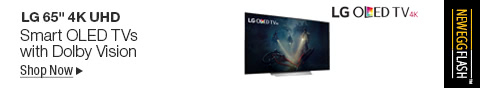 Newegg Flash C LG 65" OLED TV Campaign 