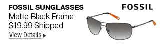 Newegg Flash - Fossil Sunglasses Matte Black Frame