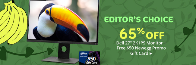 65% Off Dell 27" 2K IPS Monitor + $50 Newegg Promo Gift Card