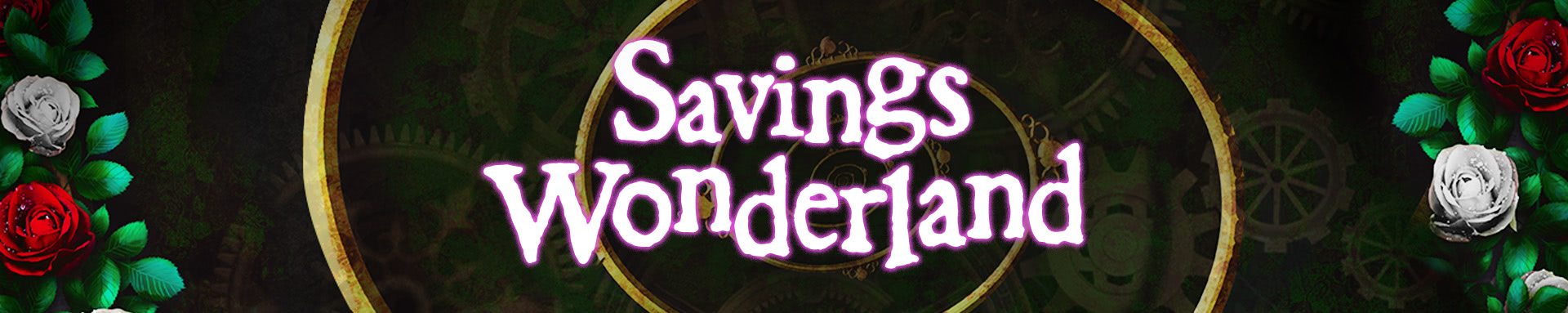 Savings Wonderland