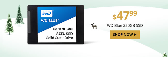 WD Blue 250GB SSD