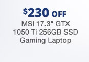 MSI 17.3 inch GTX 1050 Ti 256GB SSD Gaming Laptop