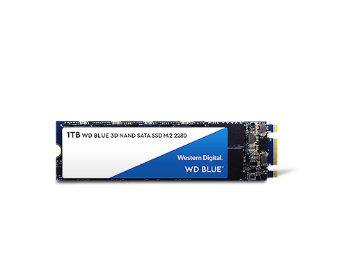 WD Blue 3D NAND 1TB Internal SSD - SATA III 6Gb/s M.2 2280 Solid State Drive - WDS100T2B0B