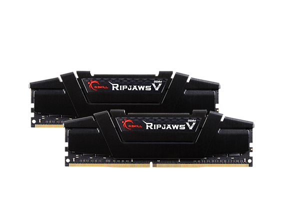 G.SKILL Ripjaws V Series 32GB (2 x 16GB) DDR4 3200 (PC4 25600) Desktop Memory