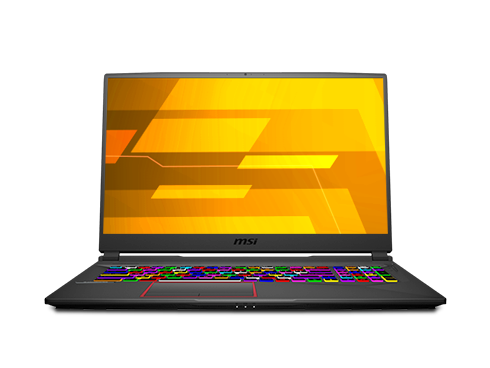 MSI GE Series - 17.3" 144 Hz IPS - Intel Core i7 10th Gen 10750H (2.60GHz) - NVIDIA GeForce RTX 2070 - 16 GB DDR4 - 1 TB HDD 512 GB NVMe SSD - Windows 10 Home 64-bit - Gaming Laptop (GE75 Raider 10SF-484 )