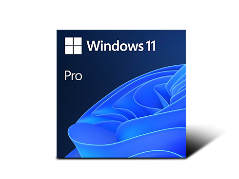 Microsoft Windows 11 Pro 64-bit