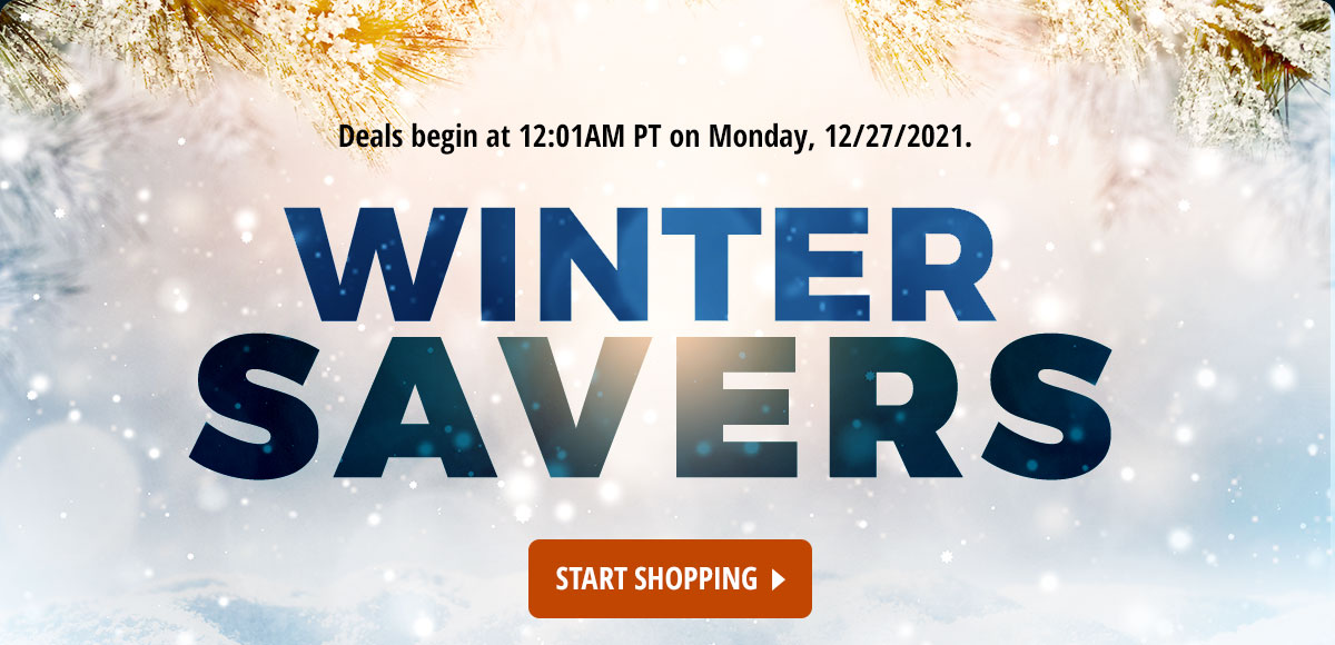 Winter Savers