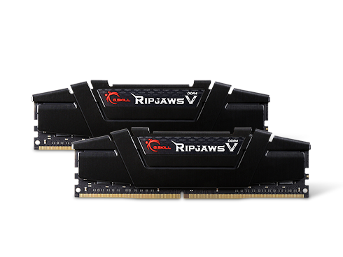 G.SKILL Ripjaws V 32GB (2 x 16GB) DDR4 3200 (PC4 25600) Desktop Memory, Model F4-3200C16D-32GVK