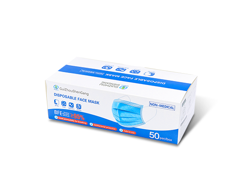 GS Disposable Face Mask, 50pcs per Box
