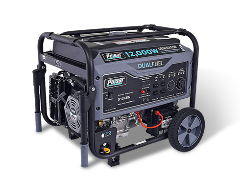 Pulsar G12KBN Heavy Duty Portable Dual Fuel Generator - 9500 Rated Watts & 12000 Peak Watts - Gas & LPG - Electric Start - Transfer Switch & RV Ready - CARB Compliant