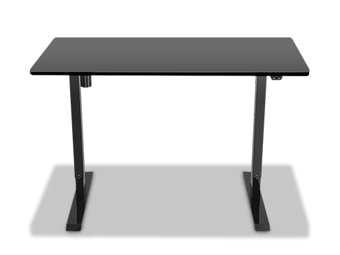 FlexiSpot Electric Sit Stand Desk Home Office Desks Standing desk, 48" x 24" Height Adjustable Desk (Black Frame + Black Top)