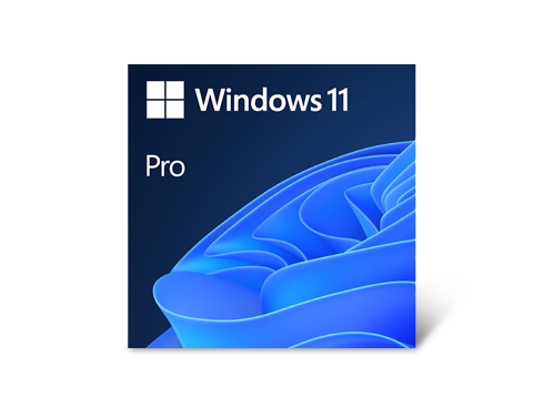 Microsoft Windows 11 Pro 64-bit, DVD - OEM