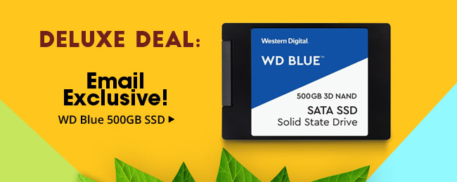 Deluxe Deal - Email Exclusive! WD Blue 500GB SSD