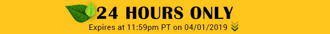 Today Only - Expires at 11:59pm PT on 04/01/19