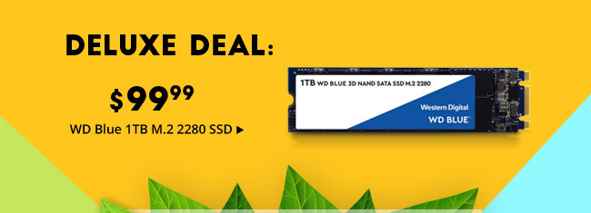 Deluxe Deal - $99.99 WD Blue 1TB M.2 2280 SSD