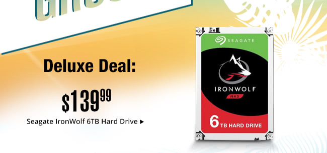 Deluxe Deal - Seagate IronWolf 6TB Hard Drive