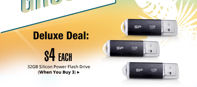 Deluxe Deal - 32GB Silicon Power Flash Drive