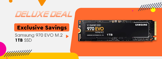 Deluxe Deal - Samsung 970 EVO M.2 1TB SSD 