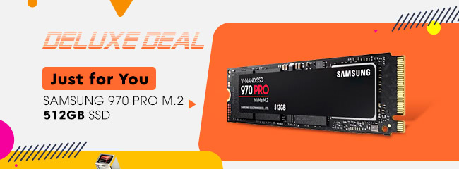 Deluxe Deal - Samsung 970 PRO M.2 512GB SSD - Just for You