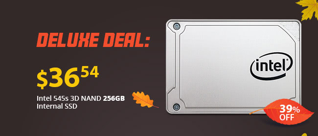 Deluxe Deal - Intel 545s 3D NAND 256GB Internal SSD