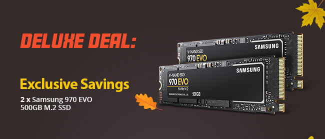 Deluxe Deal - Samsung 970 EVO 500GB M.2 SSD 