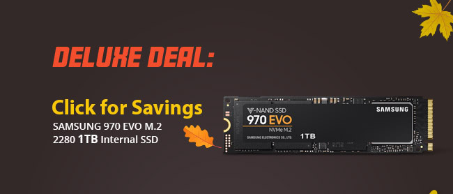 Deluxe Deal - Samsung 970 EVO M.2 2280 1TB Internal SSD