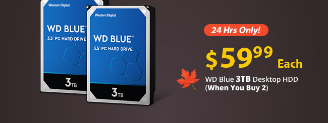 Feature - 24 Hrs Only! $59.99 Each: WD Blue 3TB Desktop HDD (When You Buy 2)