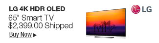 Newegg Flash - LG 4K HDR OLED 65" Smart TV