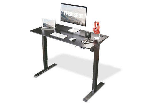 FLEXISPOT Home Office Standing Desk 48 x 24 Inches Height Adjustable Desk Electric Sit Stand Desk with Cable Management (Black Frame + Black Top)