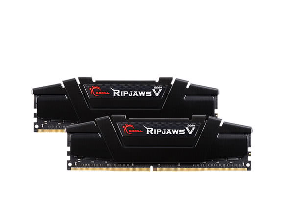 G.SKILL Ripjaws V Series 32GB (2 x 16GB) DDR4 3200 (PC4 25600) Desktop Memory