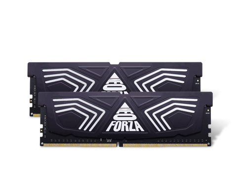 Neo Forza FAYE 16GB (2x8GB) 288-Pin DDR4 3200 (PC4 25600) SDRAM Desktop Memory Model NMUD480E82-3200DG20