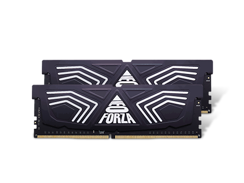 Neo Forza FAYE 16GB (2x8GB) 288-Pin DDR4 3200 (PC4 25600) SDRAM Desktop Memory Model NMUD480E82-3200DG20