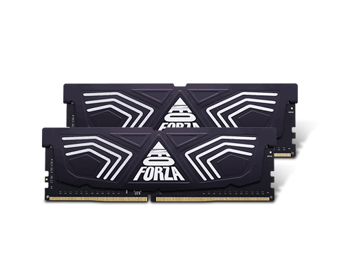 Neo Forza FAYE 16GB (2x8GB) 288-Pin DDR4 3200 (PC4 25600) SDRAM Desktop Memory Model NMUD480E82-3200DG20