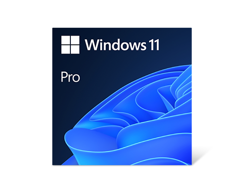 Microsoft Windows 11 Pro 64-bit, DVD - OEM