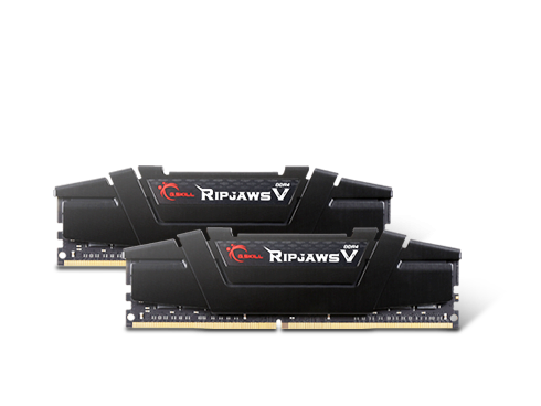 G.SKILL Ripjaws V Series 32GB (2 x 16GB) 288-Pin DDR4 SDRAM DDR4 3200 (PC4 25600) Desktop Memory Model F4-3200C16D-32GVK