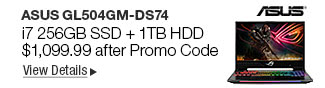 Newegg Flash - ASUS GL504GM-DS74 i7 256GB SSD + 1TB HDD