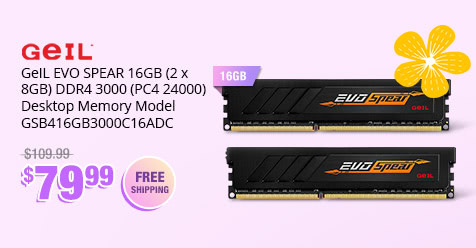 GeIL EVO SPEAR 16GB (2 x 8GB) DDR4 3000 (PC4 24000) Desktop Memory Model GSB416GB3000C16ADC