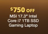 MSI 17.3" Intel Core i7 1TB SSD Gaming Laptop