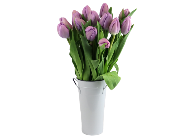 15 Purple Tulips with Vase