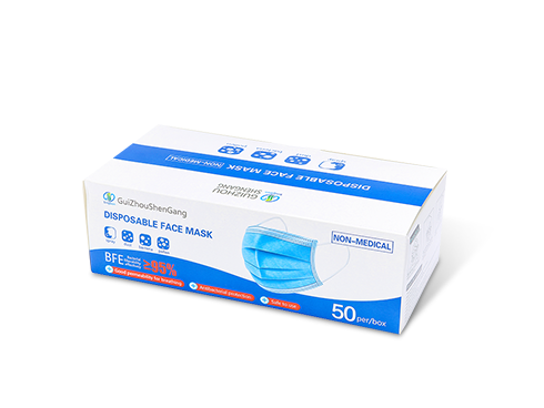 GS Disposable Face Mask, 50 pcs per Box