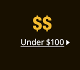 Under $100