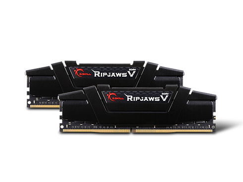 G.SKILL Ripjaws V 32GB (2 x 16GB) DDR4 3200 (PC4 25600) Desktop Memory, F4-3200C16D-32GVK