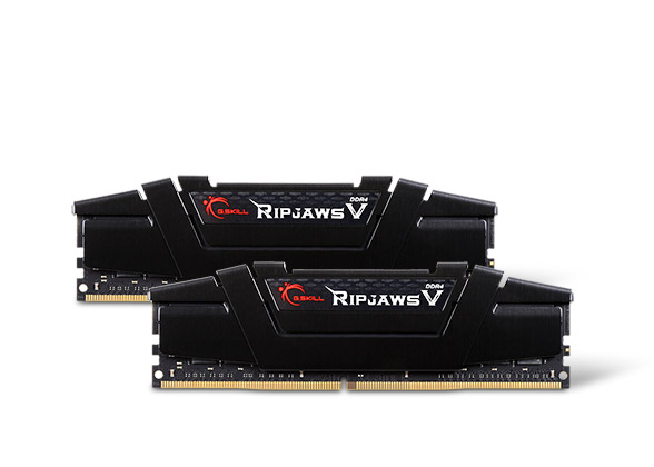 G.SKILL Ripjaws V Series 32GB (2 x 16GB) DDR4 3200 (PC4 25600) Desktop Memory