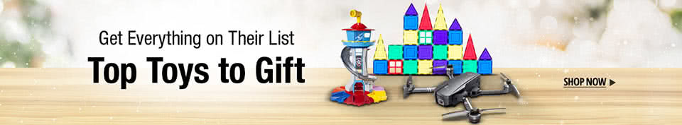 TOP TOYS TO GIFT